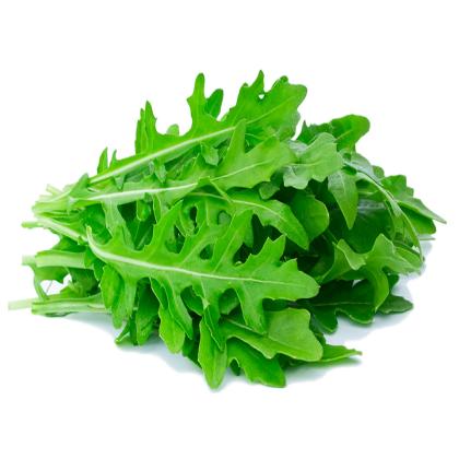 ARUGULA