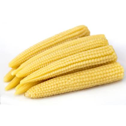 BABY CORN