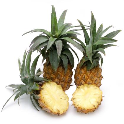 BABY PINEAPPLE