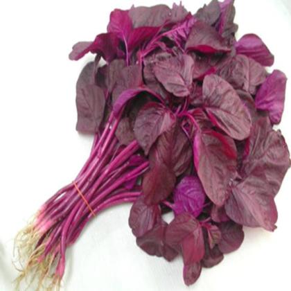 CHAULAI SAAG RED