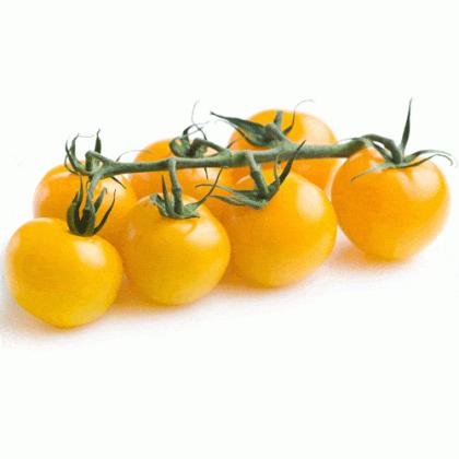 CHERRY TOMATO YELLOW