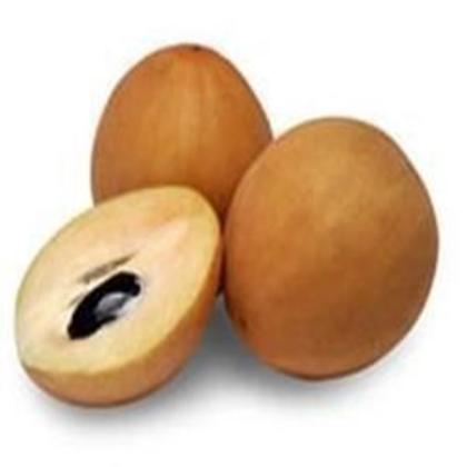 CHIKOO - SAPODILLA