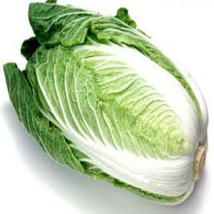 CHINESE CABBAGE