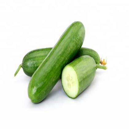 CUCUMBER ENGLISH