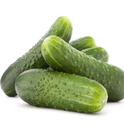 CUCUMBER DESI