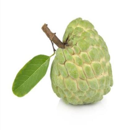 CUSTARD APPLE