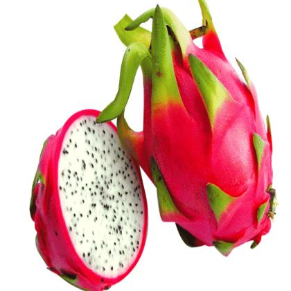 DRAGON FRUIT THAI