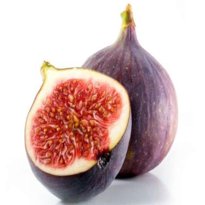 FIGS - ANJEER