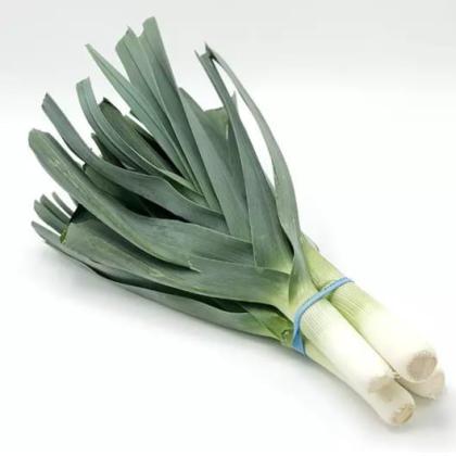 LEEKS