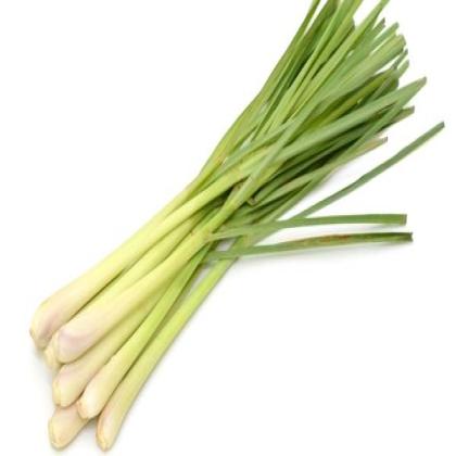 LEMON GRASS