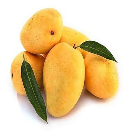 MANGO SAFEDA