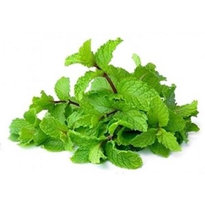 MINT LEAVES- PUDINA