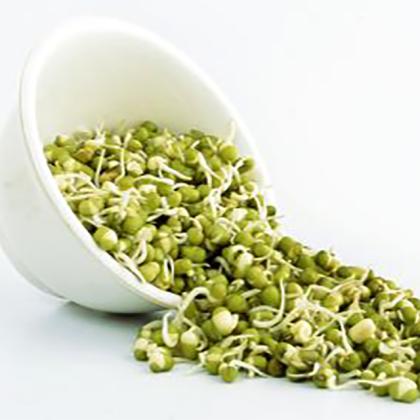 MOONG SPROUTS