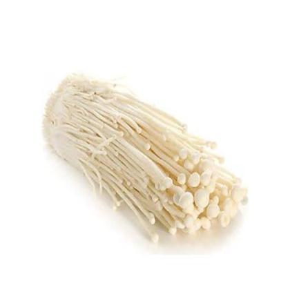 MUSHROOM ENOKI