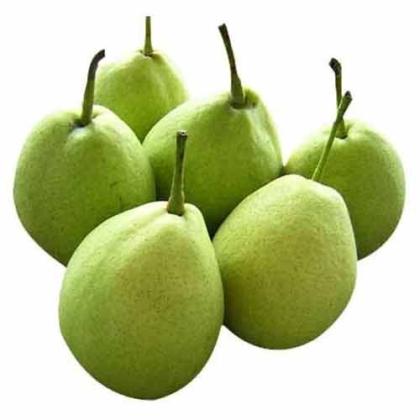 NAKH PEAR