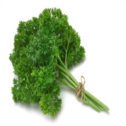 PARSLEY FRESH