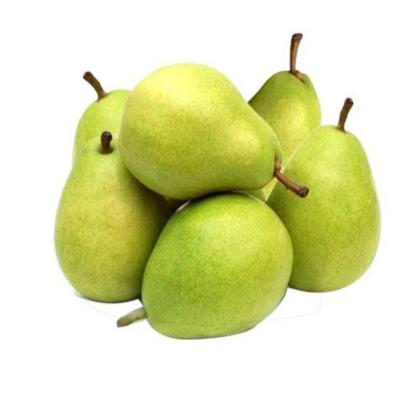 PEARS INDIAN