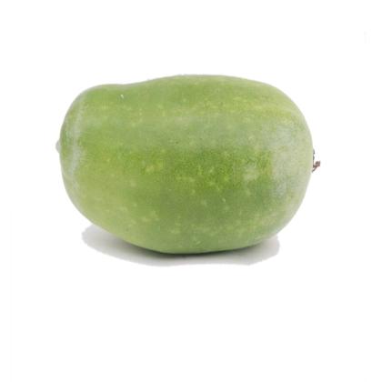 PETHA WHITE - ASH GOURD