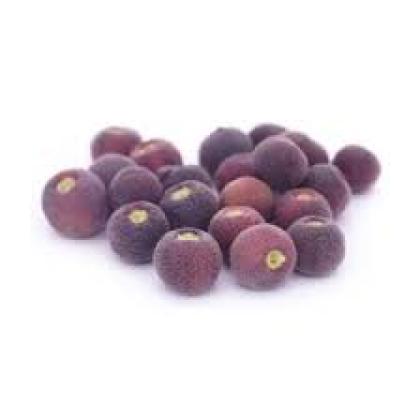 PHALSA - SHERBET BERRY