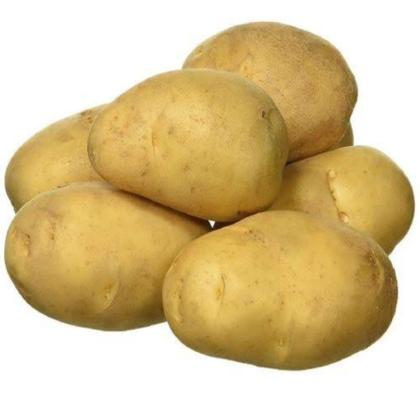 POTATO HALDWANI