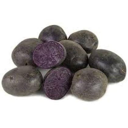 POTATO PURPLE