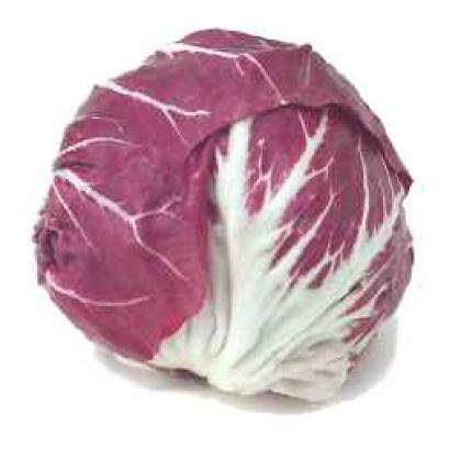 RADICCHIO