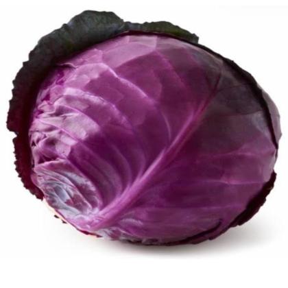 RED CABBAGE