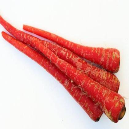 RED CARROT