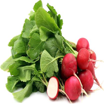 RED RADISH