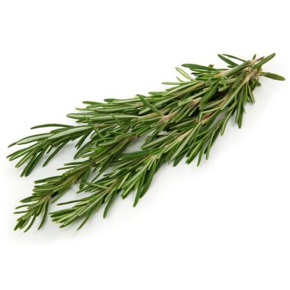 ROSEMARY