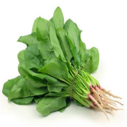 SPINACH