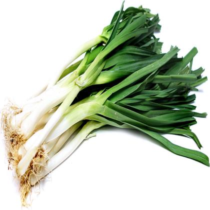 SPRING ONION