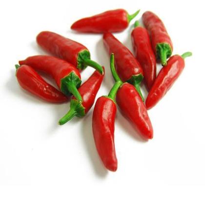 THAI RED CHILLI SMALL