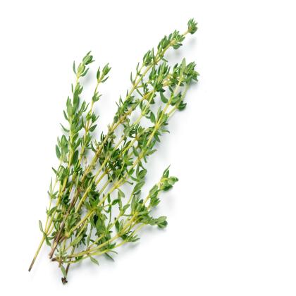 THYME