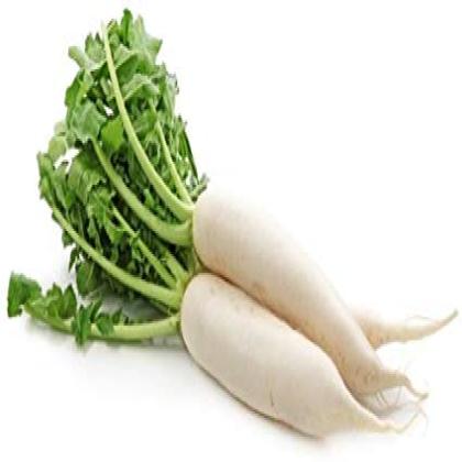 WHITE RADISH - MOOLI