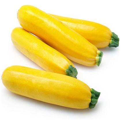 ZUCCHINI YELLOW